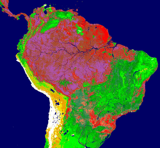 Apesar da seca, floresta da Amaznia (vermelho) ainda supera vegetao de outras reas abertas (verde)