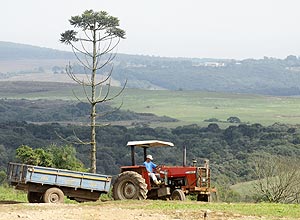 Fazendeiros de Ponta Grossa, no Parana, resistem a criacao de areas de protecao ambiental (APA) da mata de araucarias