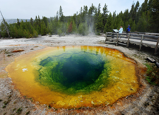 Bactéria é responsável pela cor de fonte que fica no Parque Nacional de Yellowstone, nos EUA