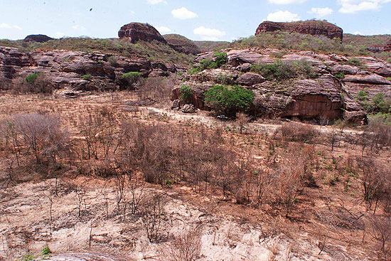 A área total desmatada da caatinga chega a quase 46% em relação à vegetação original