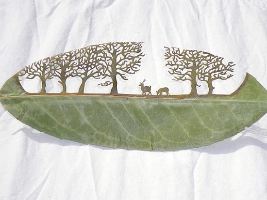 Arista espanhol adaptou para folhas de árvore a técnica oriental usada sobre papel; veja galeria de fotos
