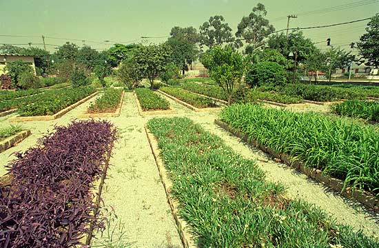 Horta da Escola de Ecologia do ABCD, em So Caetano do Sul, que fica em parque botnico de 20 mil metros quadrados