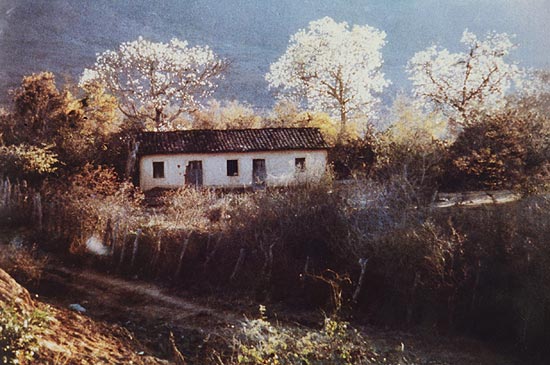 Casa na regio de Juacema, Bahia, com rvores que justificam o termo "paisagem glacial" usado por Euclides da Cunha em seu livro "Os Sertes"