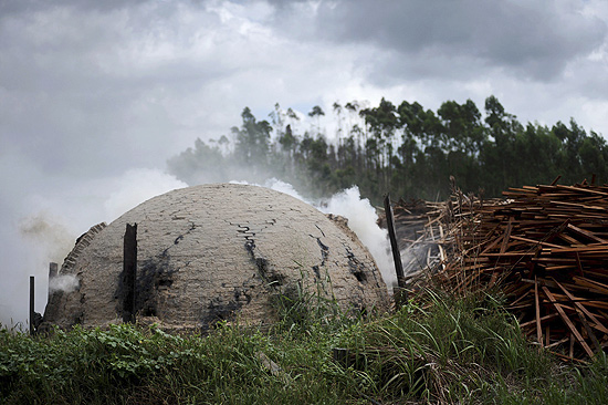 Forno clandestino que fabrica carvão, segundo o Greenpeace, com madeira da floresta amazônica