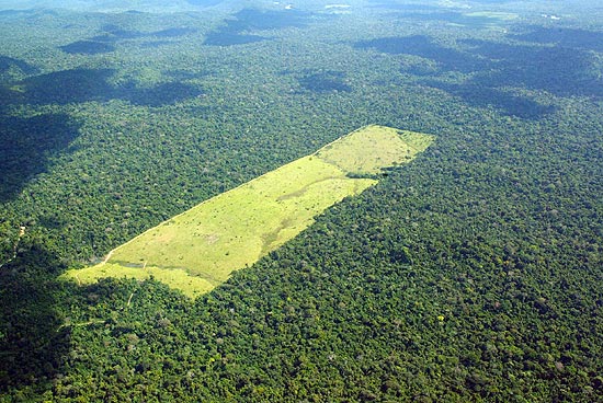 Desmatamento em Moraes Almeida (PA) mostra que devastação da Amazônia ocorre também dentro de áreas de mata preservada 