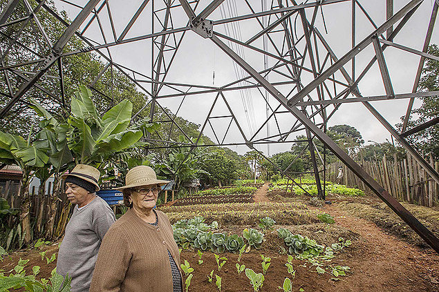 Os agricultores urbanos Jos Aparecido Vieira e Florisbela Azevedo Silva em horta na zona leste de SP