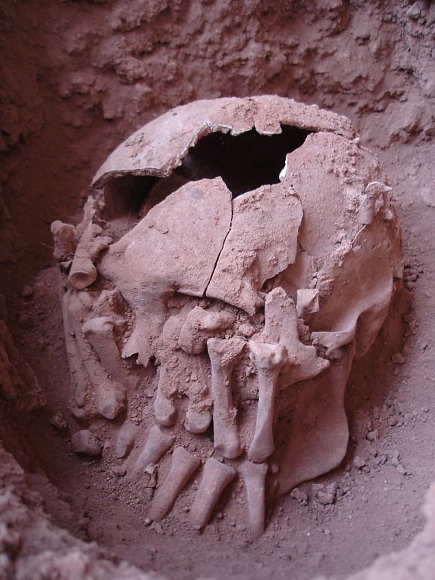Crânio decapitado e mãos decepadas encontrados em Lapa do Santo, em Minas Gerais
