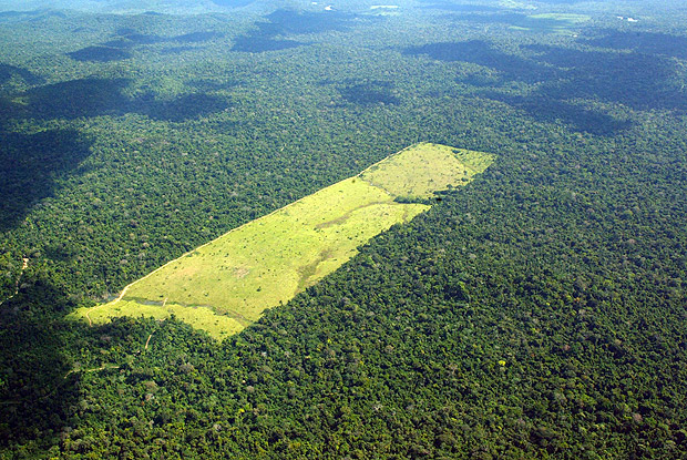 Área desmatada em Moraes Almeida, no Pará