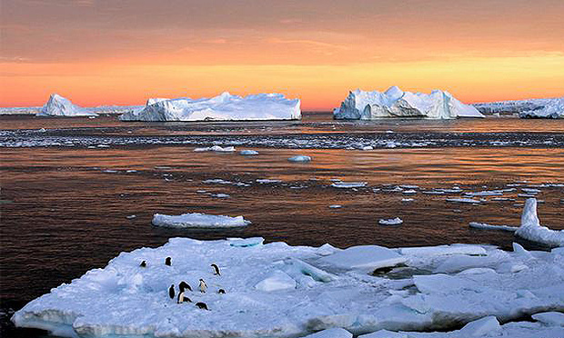 O Mar de Ross  considerado um dos ecossistemas mais intactos no planeta 