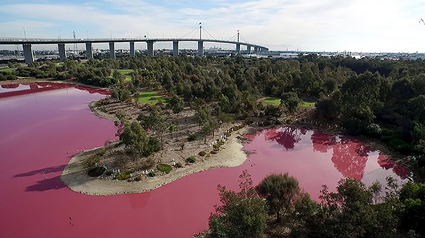 gua de lago australiano ficou rosa por conta de fenmeno natural