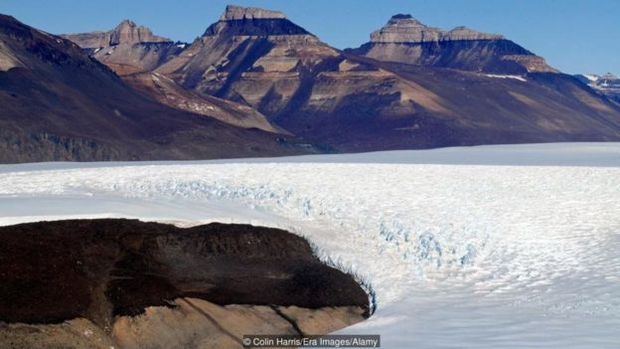 Bactrias dormentes foram encontradas em geleiras antrticas