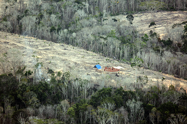 Área de desmatamento em Santa Cruz de Cabrália, no litoral sul da Bahia