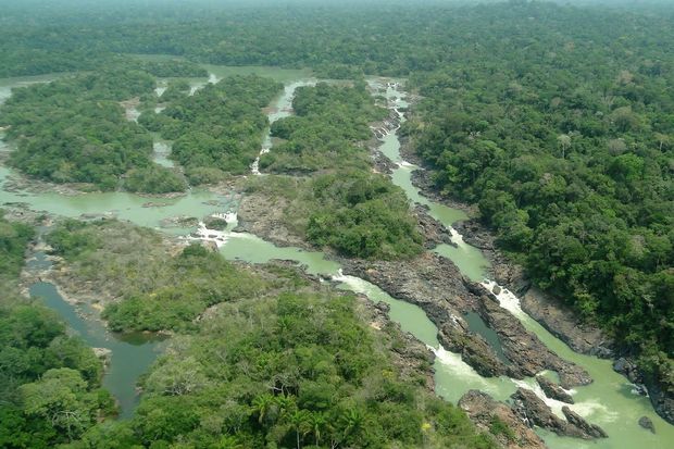 Situada a 1.600 km da capital Belm, entre os municpios de Itaituba e Trairo, o parque ambiental do Jamanxim  um santurio de 1.300 mil hectares onde vivem especies nativas da Amaznia