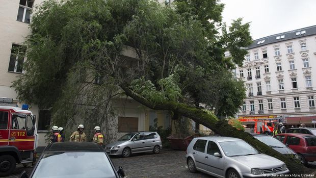 Tempestades derrubaram rvores em Berlim, como no bairro de Neuklln
