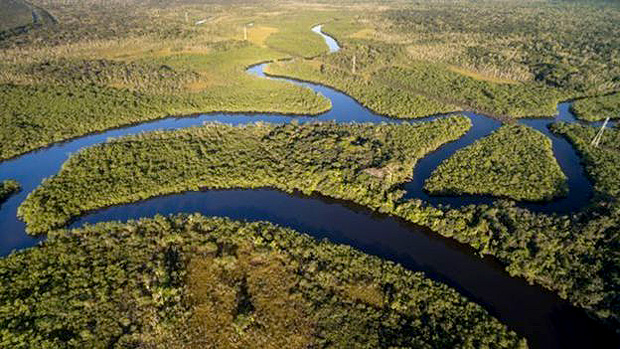 O que so os 'rios voadores' que distribuem a gua da Amaznia --- A chuva no Uruguai ou no norte da Argentina deve-se, em parte, a essas rvores da floresta amaznica