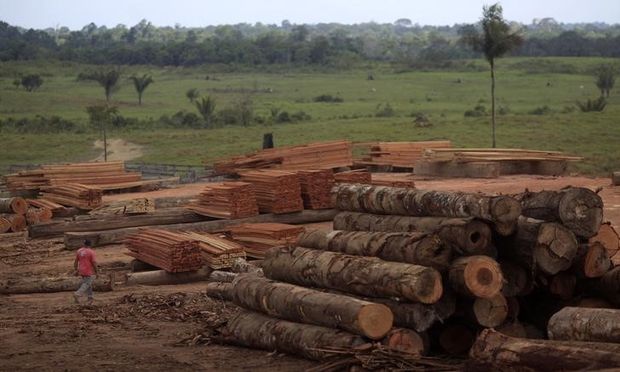 Pilha de madeira extrada ilegalmente da Floresta Amaznica, no Par
