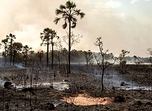 El cambio climático aumenta el riesgo de tormentas de fuego