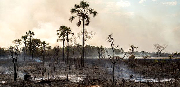 Brazil's Ministry of Environment called the Federal Police to investigate what caused the fire that has already burned 26% of the region of the Chapada dos Veadeiros National Park