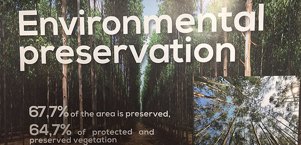 Governo do Mato Grosso usa fotos de eucaliptos em folder sobre preserva��o ambiental