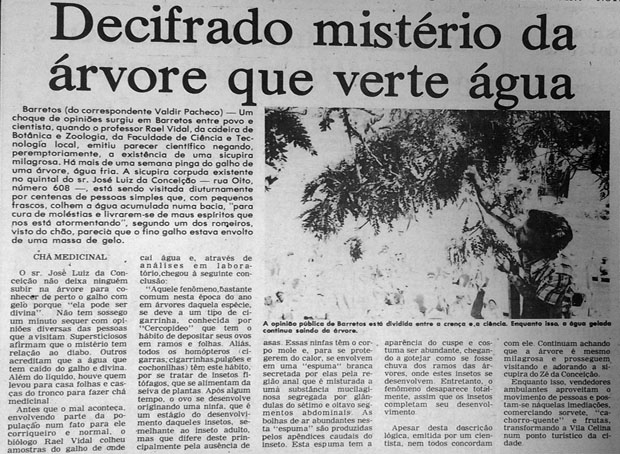 Reportagem da pgina 5, do Notcias Populares de 24 de outubro de 1977. (Foto: Folhapress)