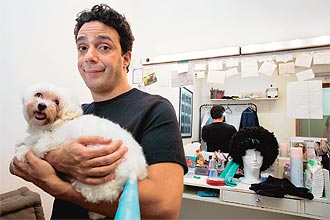 Preta, a cadela maltês do ator Marcelo Médici, teve parte do rabo amputada durante tosa em um pet shop de Higienópolis, em SP