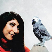 A cientista Irene Pepperberg e o papagaio Alex, seu amigo por 30 anos