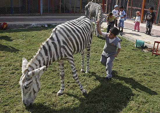 Crianças palestinas visitam o zoológico Marah Land, na Cidade de Gaza