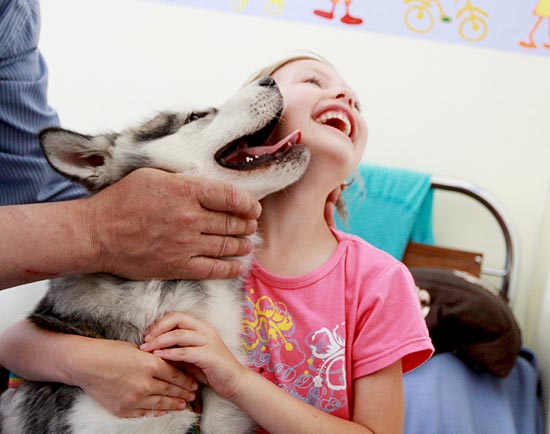 Paciente brinca com cachorro no Dia da Terapia com Ces, na Polnia