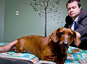 O estudante de direito Renato Novelli Campos, 22, com sua cachorra Vitoria, durante sessao de acupuntura em SP.