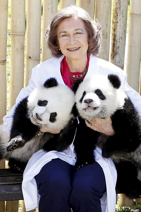 Rainha Sofia da Espanha visita filhotes de panda em zoo de Madri