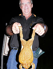 Homem exibe sapo de 40 cm e quase 1 kg encontrado na Austrlia