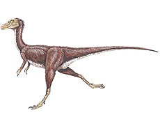 Espécie de pequeno dinossauro teria sido o bípede mais rápido que já existiu na Terra