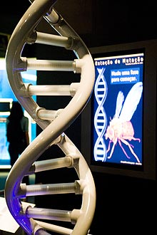 Exposio "Revoluo Genmica", em So Paulo, permite interao com o DNA