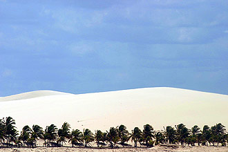 Em Jericoacoara, no Cear, os ventos constantes alteram as feies das dunas com freqncia; grupo explica dunas marcianas