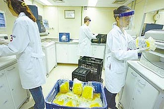 Técnicos na Fundação Pró-Sangue da capital paulista; auditoria identificou falha na armazenagem das bolsas de plasma