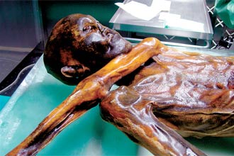 Corpo mumificado de tzi, achado em 1991 no Tirol; pesquisa analisou DNA e verificou que mmia no tem descendentes vivos 
