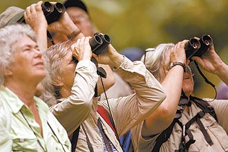 Turistas estrangeiros observam aves na fazenda Capricrnio, em Ubatuba, em busca da choquinha-pequena; Brasil ainda explora pouco o potencial para atividade