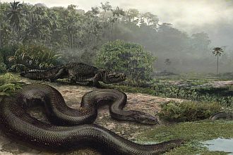 Arte reproduz espécime da _Titanoboa cerrejonensis_; fóssil de 60 milhões de anos tem 13 metros e pesa mais de uma tonelada