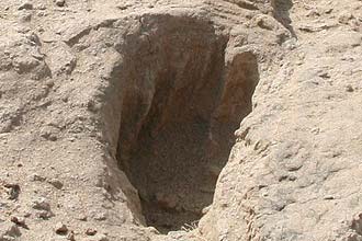 Uma das pegadas encontradas no lago Turkana, no Quênia; pesquisadores acharam cinco conjuntos de pegadas com 1,5 milhão de anos