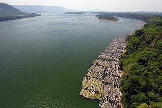 Madeiras de mogno apreendidas pelo Ibama no rio Xingu; líder indígena constata mudança climática na região Centro-oeste do país