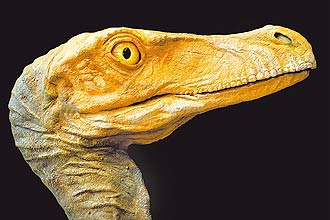 Rplica do velociraptor na mostra do Museu de Zoologia da USP; garras eram usadas para subir em rvores em vez de estripar vtimas