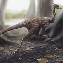 Paleontlogos descobrem dinossauro "comedor de formigas