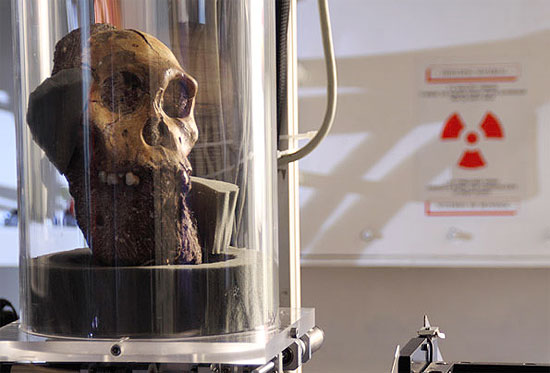 H crebro em esqueleto pr-humano, indica anlise com raios-X gerados no Sncroton Europeu de Radiao