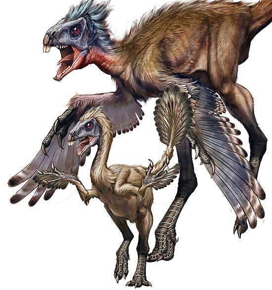 Ilustrao reconstitui dois exemplares do dinossauro predador "Similicaudipteryx": um juvenil, com as penas "bizarras", e um adulto