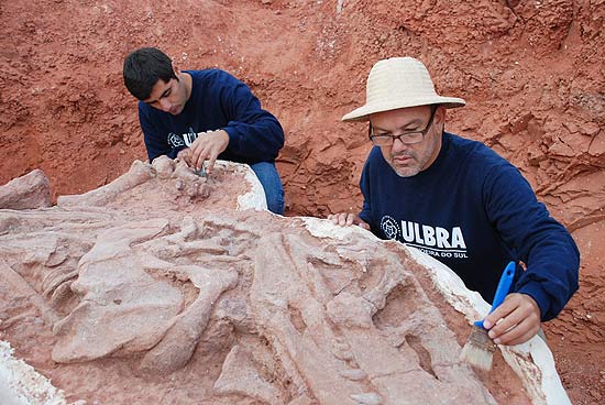 Paleontólogos limpam fóssil do tecodonte desenterrado em Dona Francisca (RS)