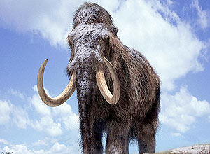 Pesquisadores da Universidade de Kyoto, no Japão, querem recriar mamute a partir de carcaça conservada na Rússia
