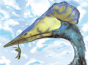 Pterossauro do Araripe; hoje, fssil est no Reino Unido
