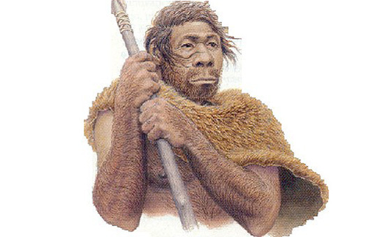 Homo neanderthalensis, conhecido como homem de Neandertal, foi extinto há cerca de 30 mil anos