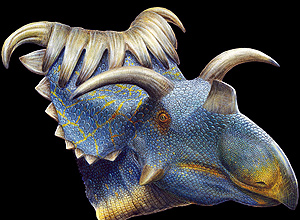 Horniest dinosaur ever discovered - Kosmoceratops - found in Utah