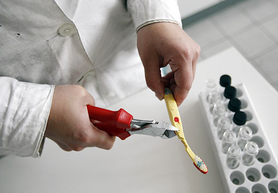 Técnico colhe amostra de escova de dentes para medir quantidade de ftalato, que dá flexibilidade a plásticos